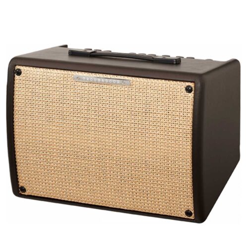 Ibanez IT30 Troubadour 30 watt Acoustic Guitar Combo Amplifier