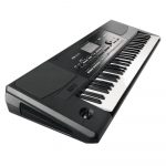 Korg Arranger Keyboard PA300