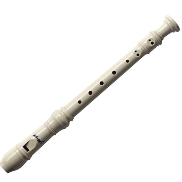 Stagg Recorder