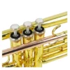 Sonata Bb Gold Trumpet-2