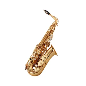 Nuova Eb Alto Saxophone