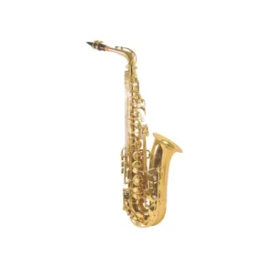 Lamour Alto Saxophone With Case