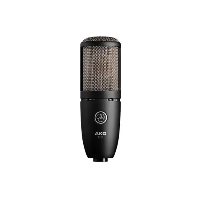 AKGP-P220 High Performance Large Diaphragm Condenser Mic