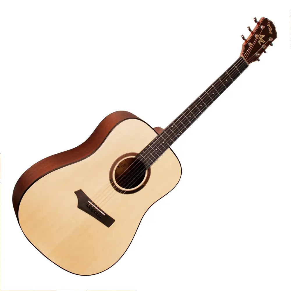 Gopherwood Guitars i100 Acoustic Guitar