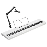 Korg Liano Live 88-key Digital Piano KA1013A