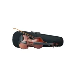 L'amour Violin Outfit 3/4 Size