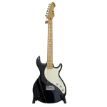 Line 6 Variax Modeling Guitar