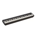 Roland FP-10-BK With Blue Tooth